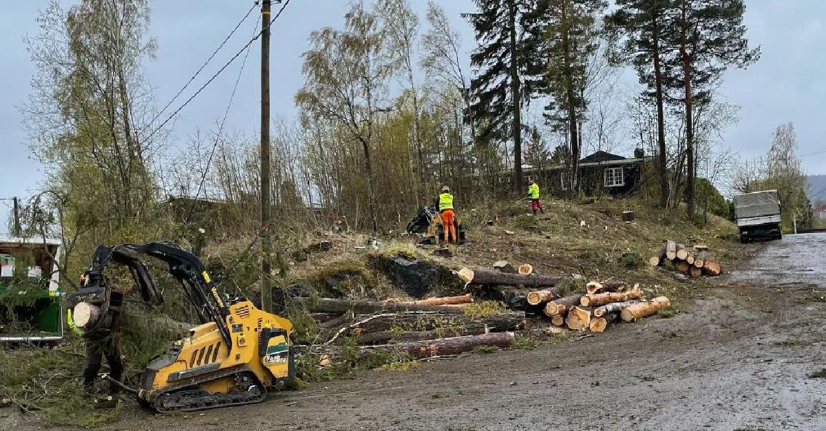 Rydding av tomt ved vei